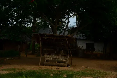 DSC_8058 (Large).JPG